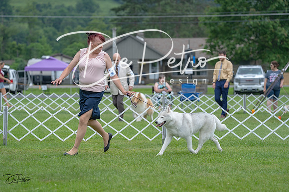 20230702-DSC01695
