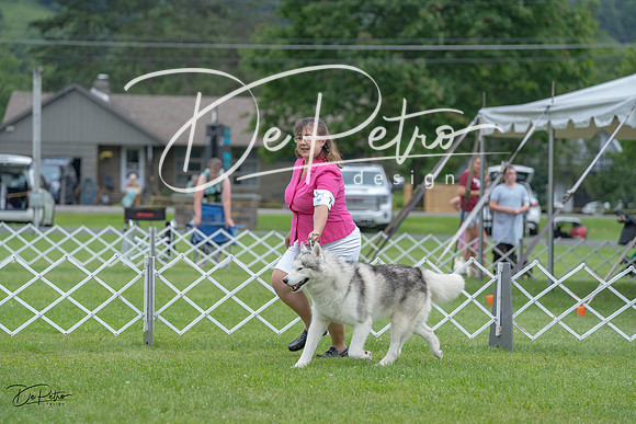 20230702-DSC01441