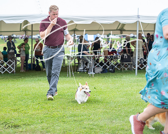 20230701-DSC01174