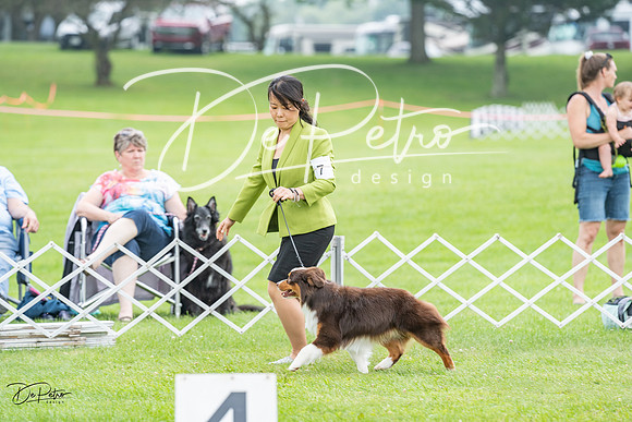 20230701-DSC09669