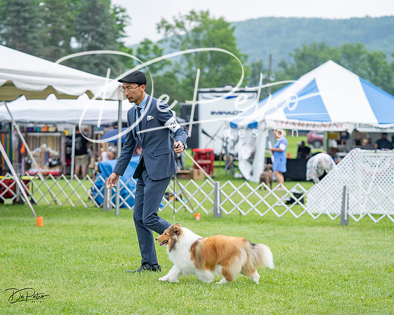20230701-DSC07561