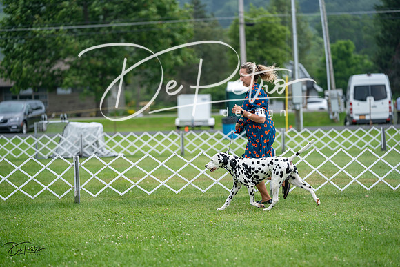 20230701-DSC08328