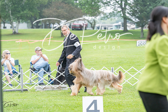 20230701-DSC09762