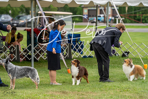 20230702-DSC04250