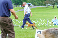 20230702-DSC04352