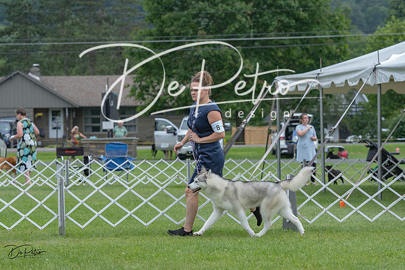 20230702-DSC01400