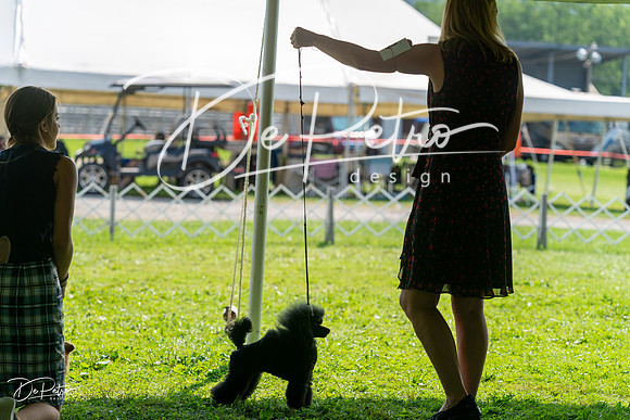 20240816-DSC00294