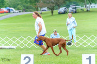 20230702-DSC04294