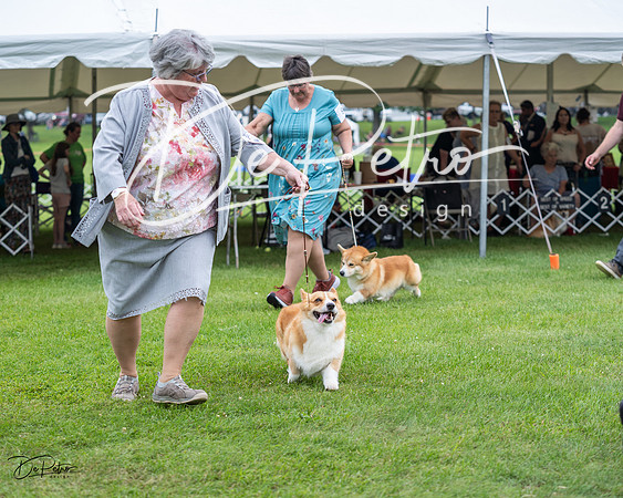 20230701-DSC01163