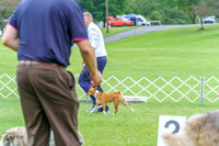 20230702-DSC04354