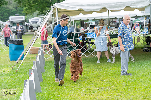 20230702-DSC03507