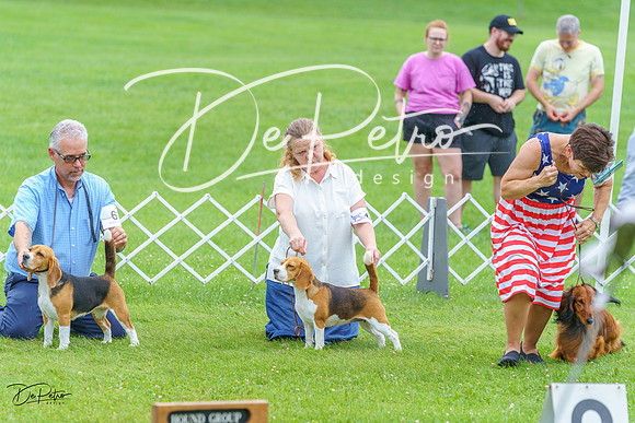 20230702-DSC04658