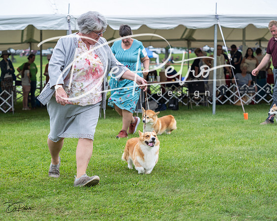 20230701-DSC01164