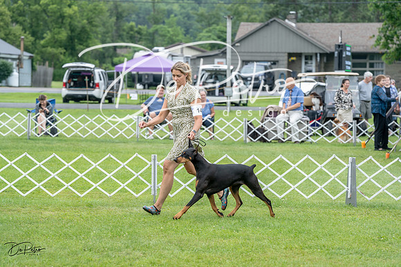 20230702-DSC00807