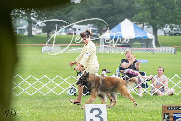 20230701-DSC09528