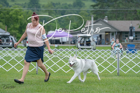 20230702-DSC01480