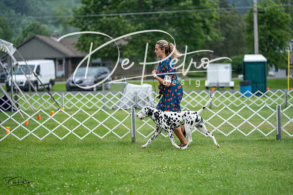 20230701-DSC08332