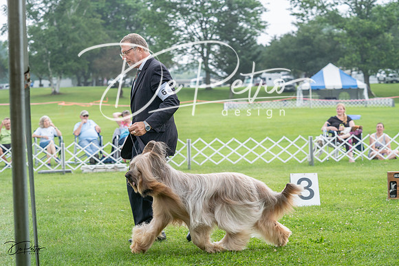 20230701-DSC09486