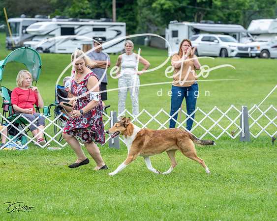 20230702-DSC04193