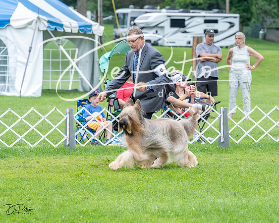 20230702-DSC04181