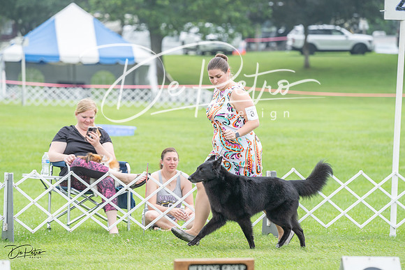 20230701-DSC09621