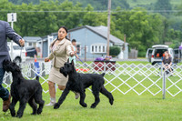 20230702-DSC01241