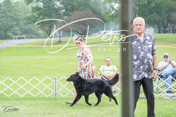 20230701-DSC09784