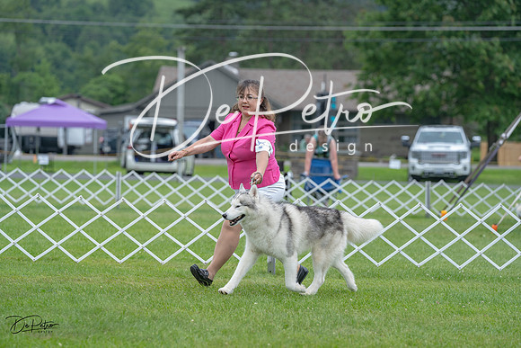 20230702-DSC01445