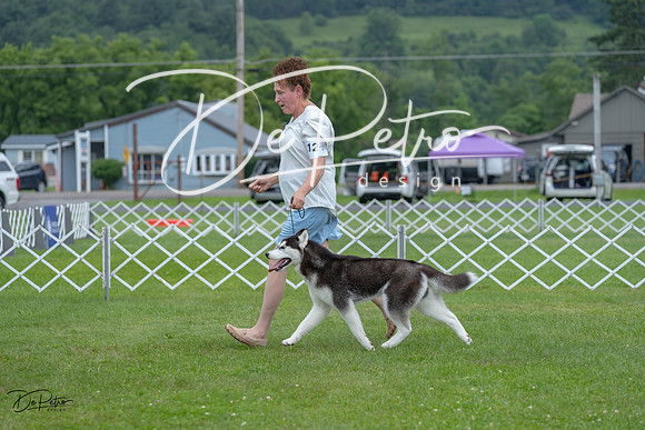 20230702-DSC01735