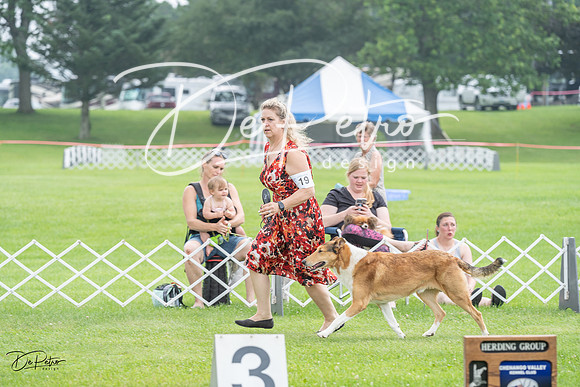 20230701-DSC09558
