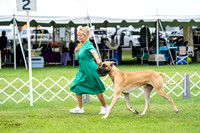 20230702-DSC01851