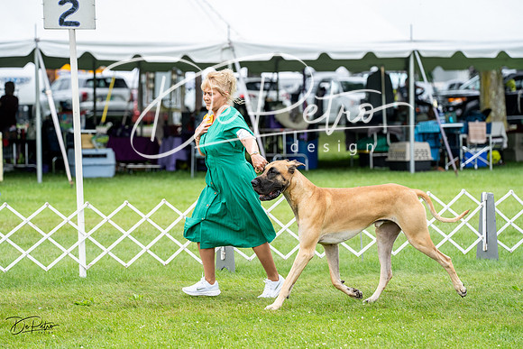 20230702-DSC01851