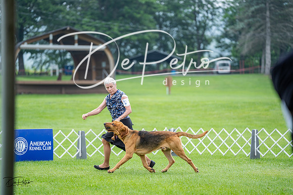 20230701-DSC08733