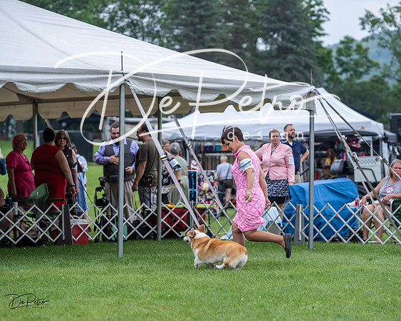 20230701-DSC01180