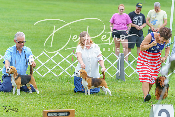 20230702-DSC04659
