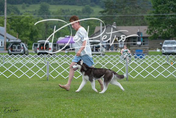 20230702-DSC01731