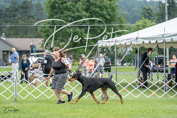 20230702-DSC00869