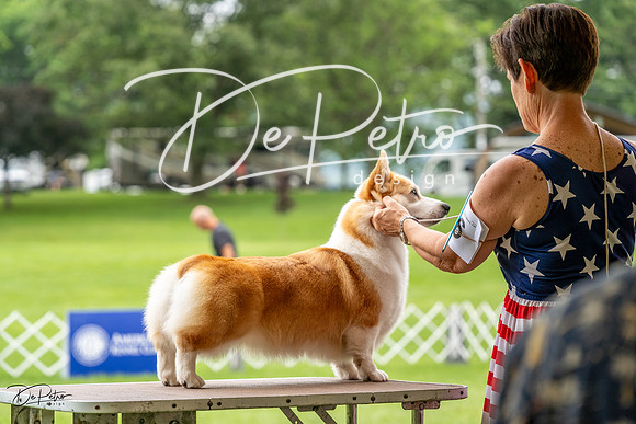 20230702-DSC04123
