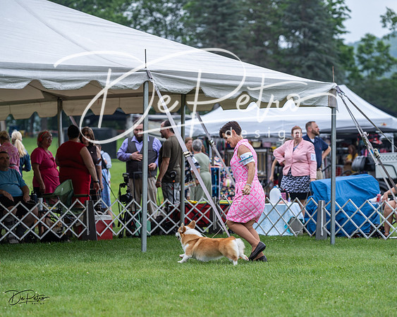 20230701-DSC01181
