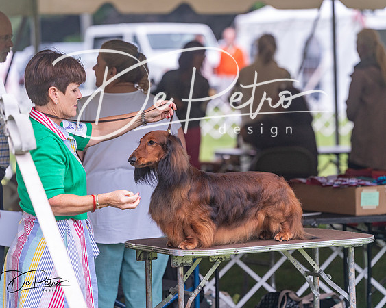 20250626-DSC04605