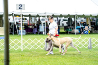20230702-DSC01894