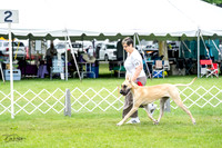 20230702-DSC01891