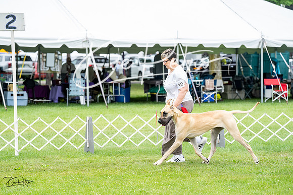 20230702-DSC01891