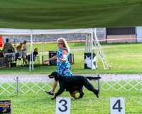20240815-DSC07928