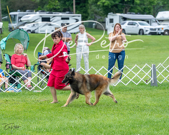 20230702-DSC04186