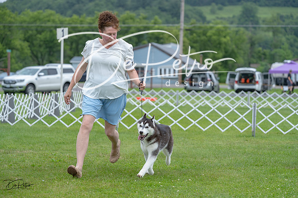 20230702-DSC01503