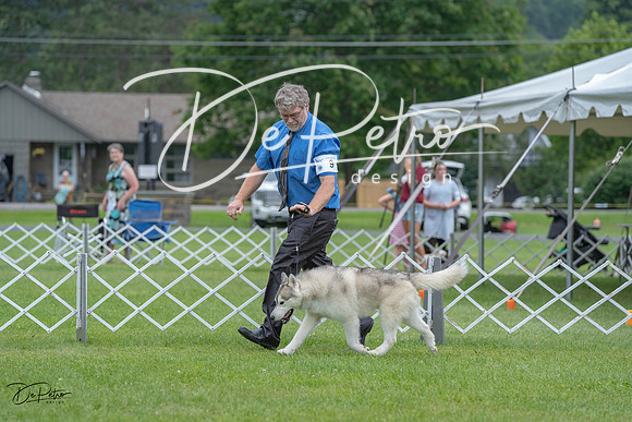 20230702-DSC01453
