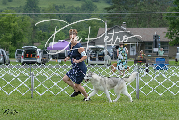 20230702-DSC01408