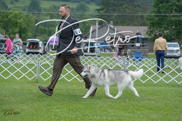 20230702-DSC01640