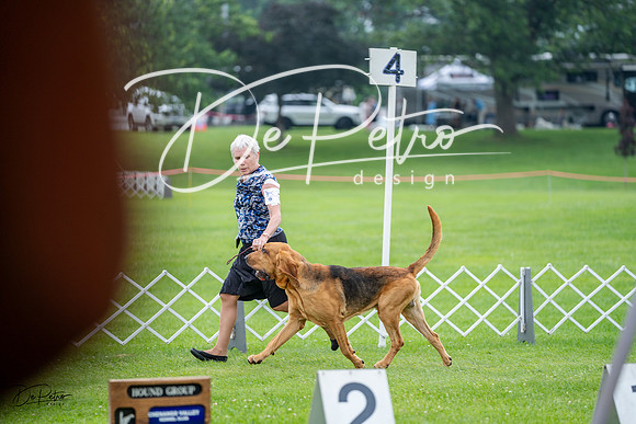 20230701-DSC08744
